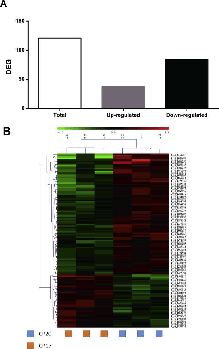 Fig. 1