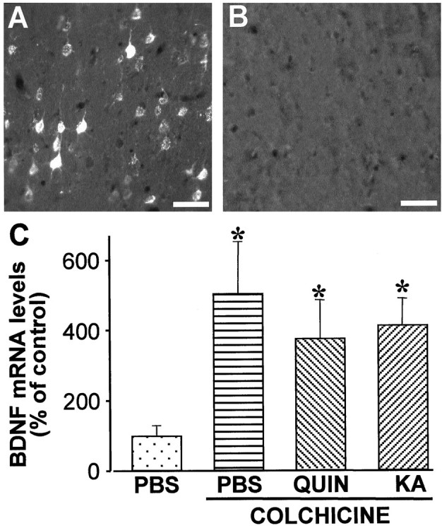 Fig. 9.