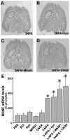 Fig. 6.