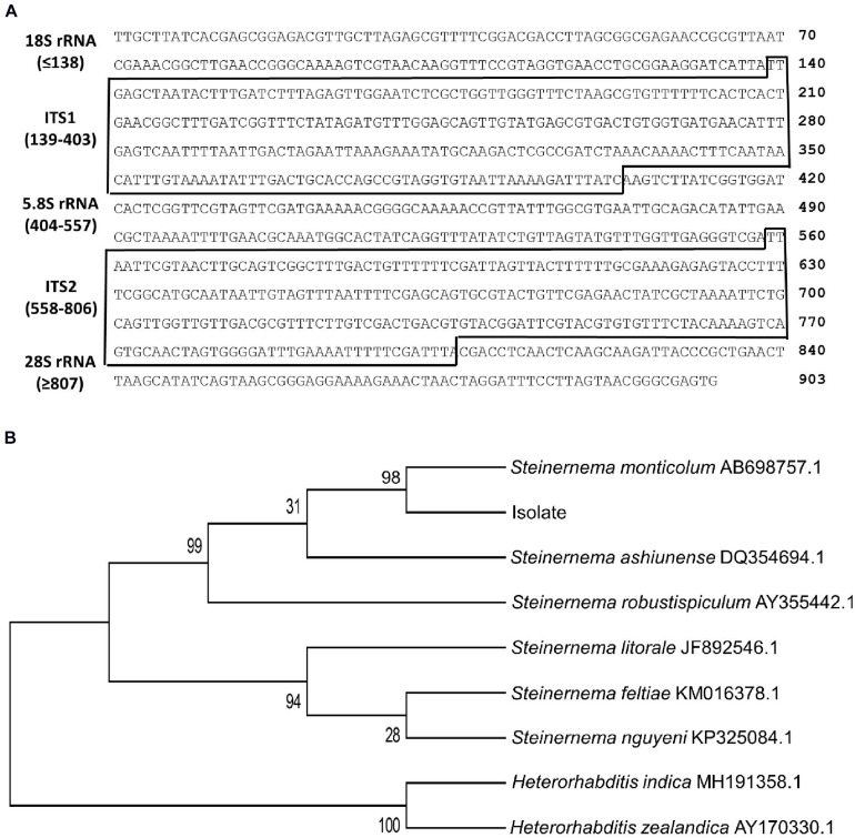 FIGURE 2