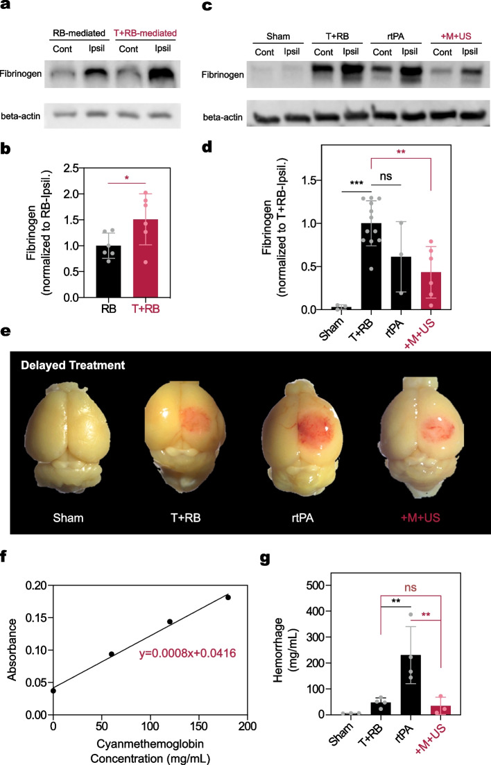 Fig. 9