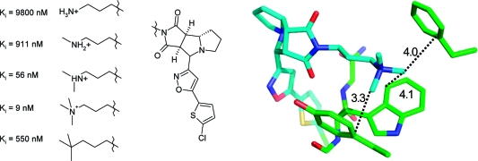 Figure 19