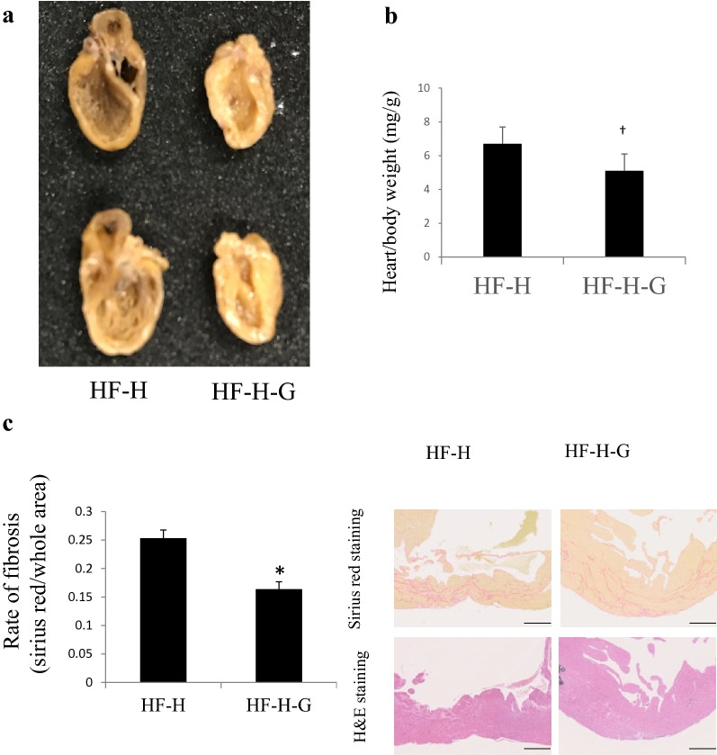 Fig. 6