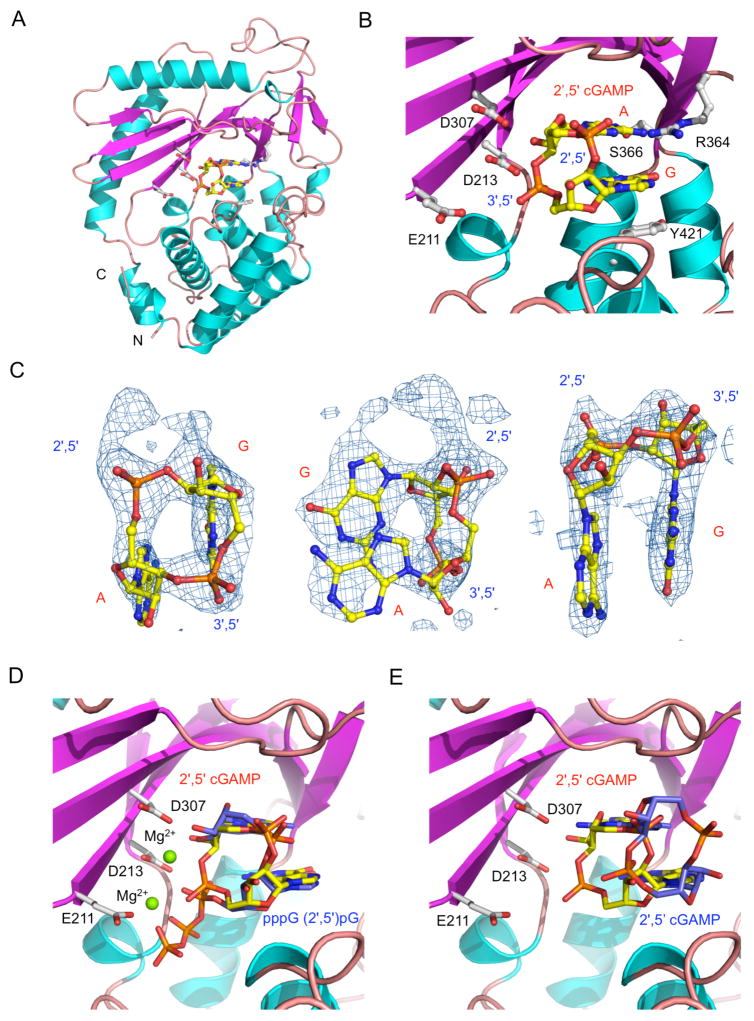 Figure 7