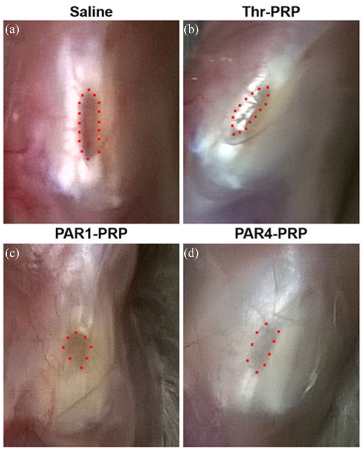 Figure 7.