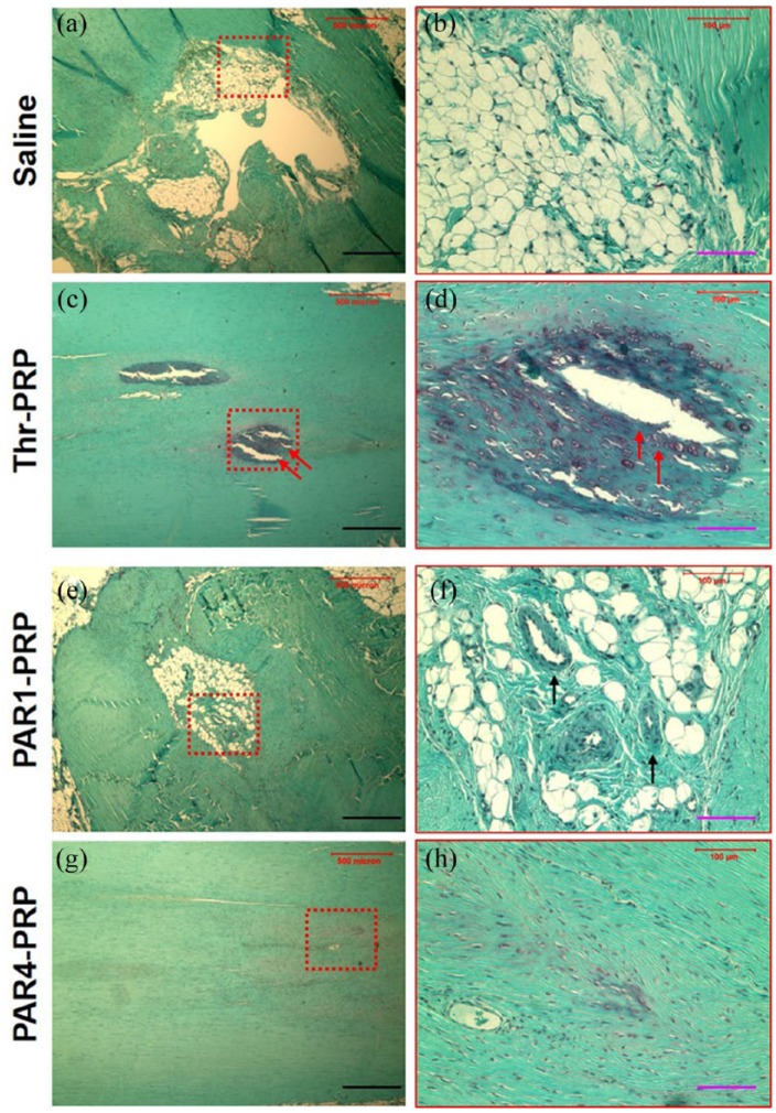 Figure 9.