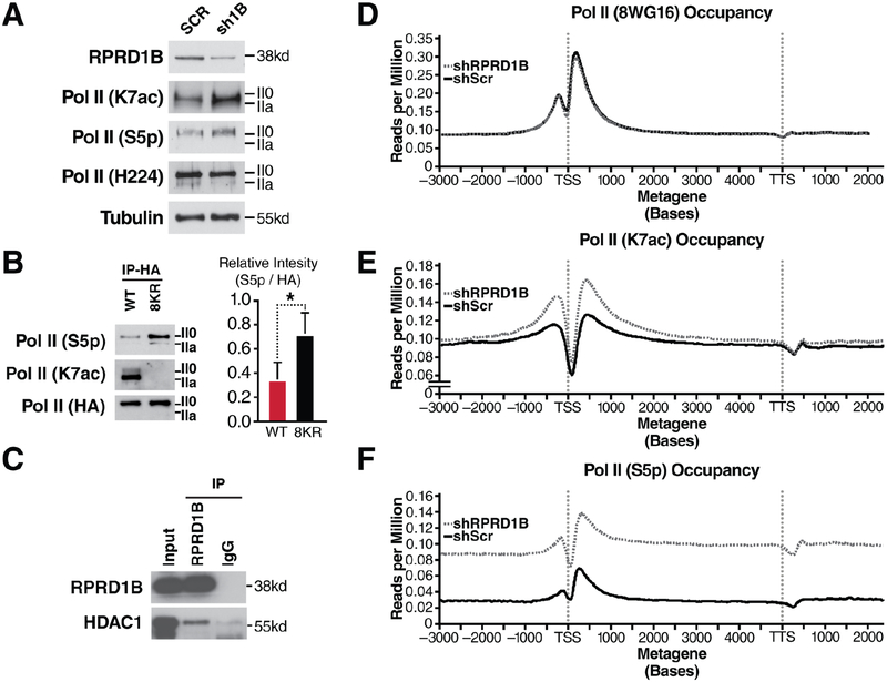 Figure 5: