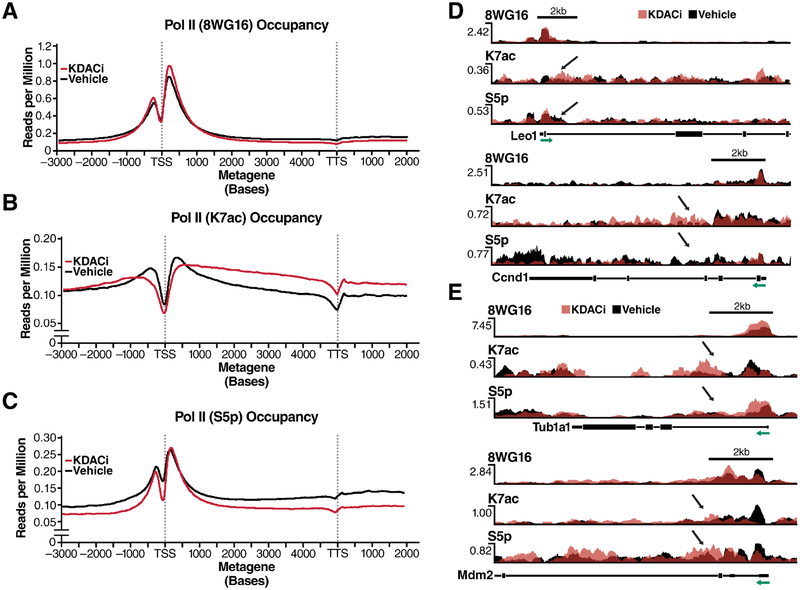 Figure 4: