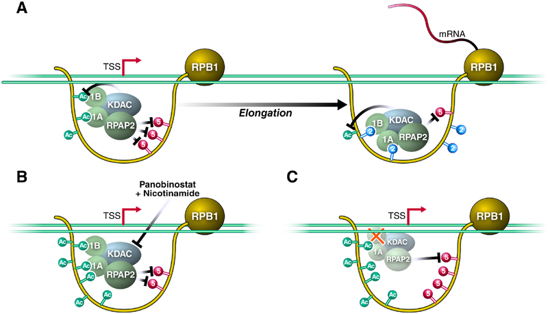 Figure 6: