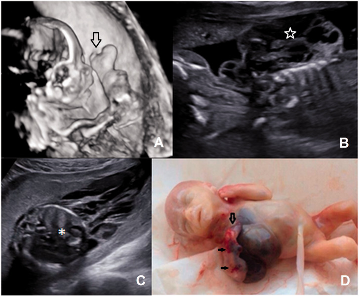 Figure 4.