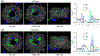 Fig. 9.