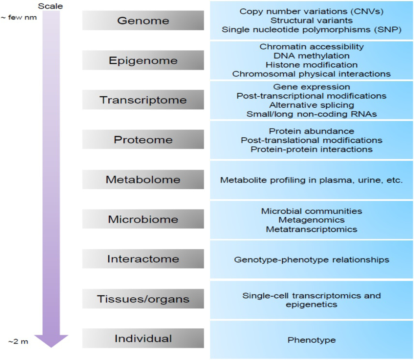 Figure 1: