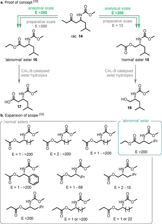 Scheme 4