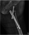 Supplementary Figure 6.