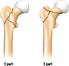 Supplementary Figure 3.
