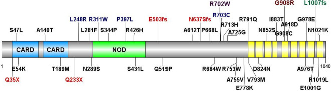 Figure 1