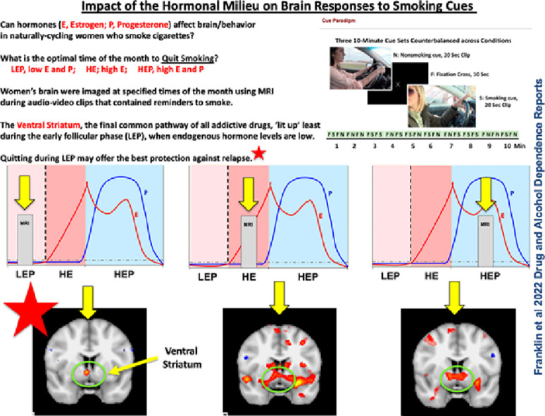 Image, graphical abstract