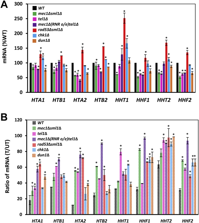 Figure 2