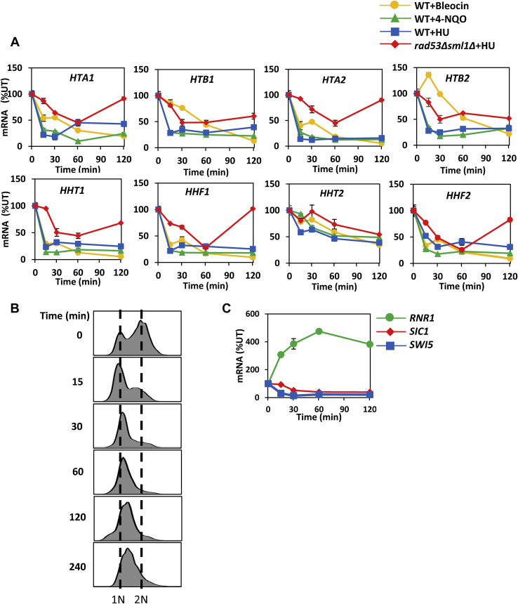 Figure 1