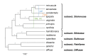 Figure 27