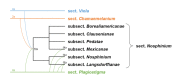 Figure 24