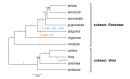 Figure 33
