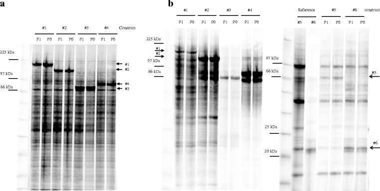 Fig. 4