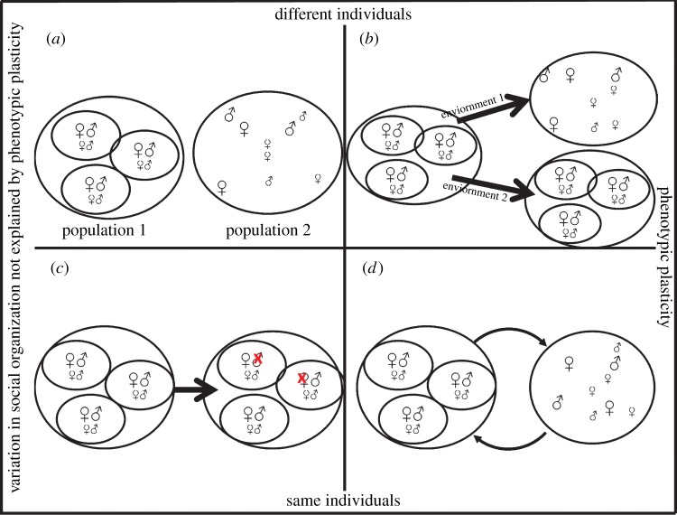 Figure 1.