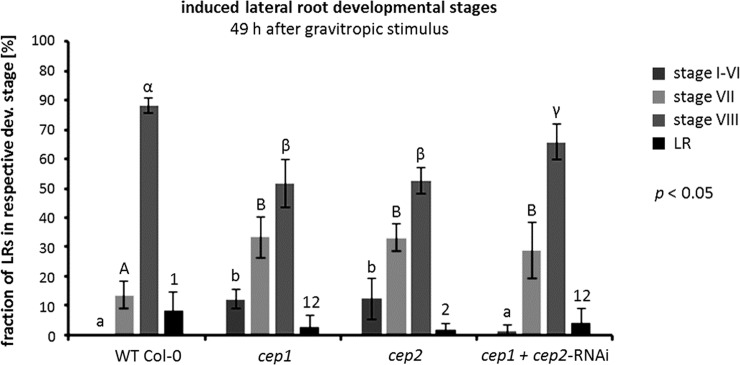 Fig 12