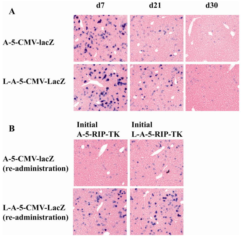 FIG. 6