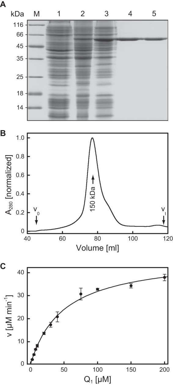 FIG 2