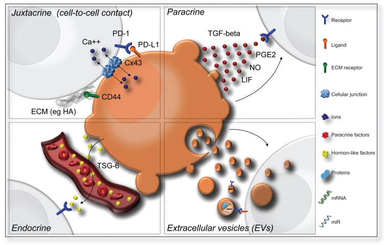 FIGURE 3