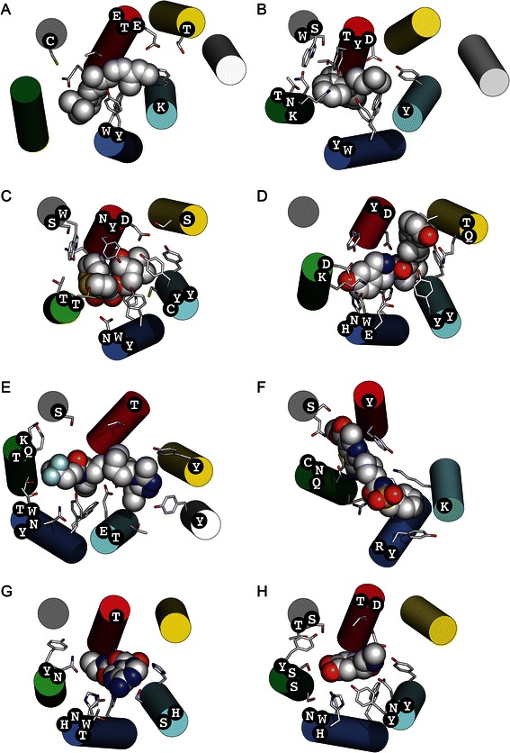 Fig. 4