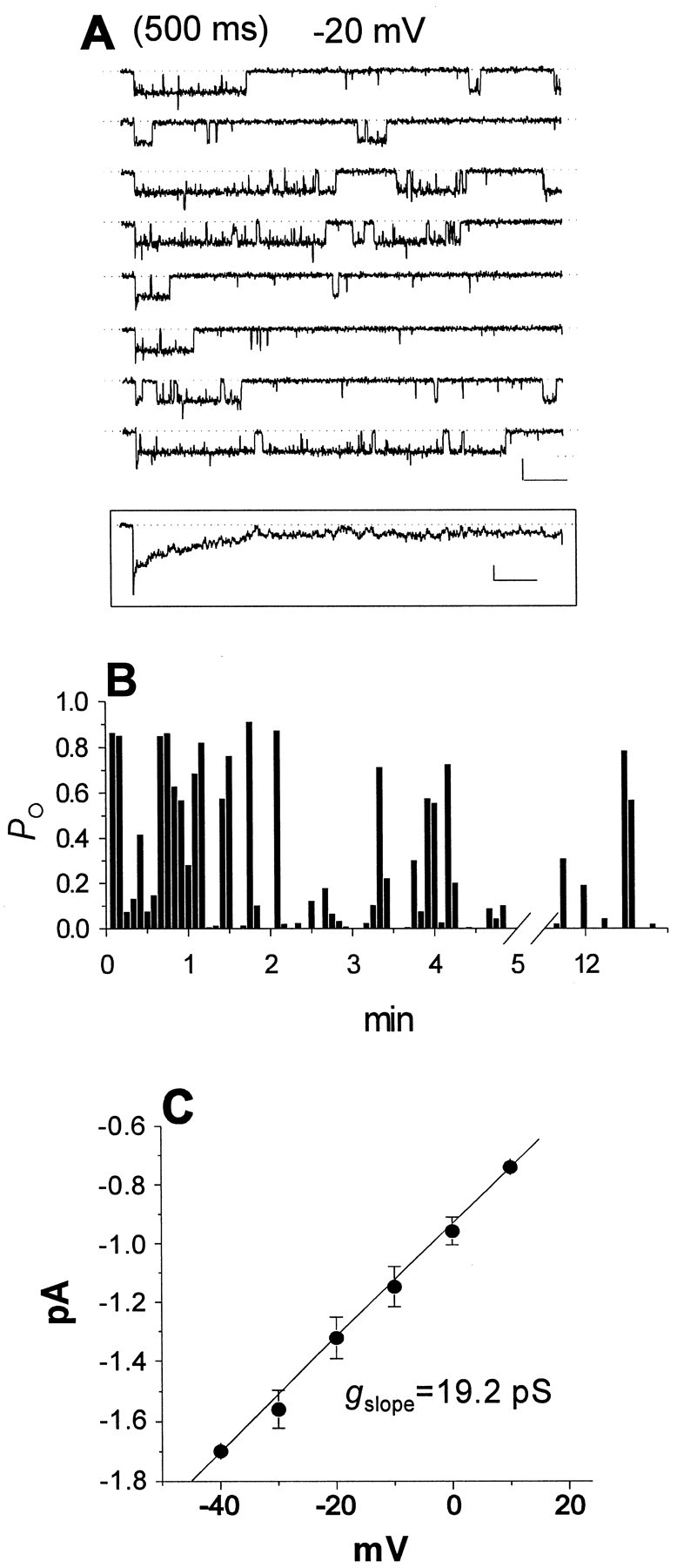 Fig. 5.