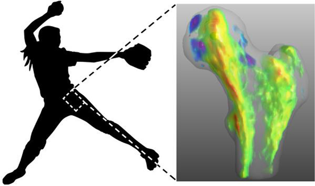 graphic file with name nihms-1718576-f0001.jpg