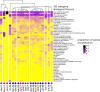 Figure 2—figure supplement 2.