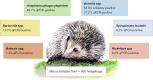 Unlabelled Image