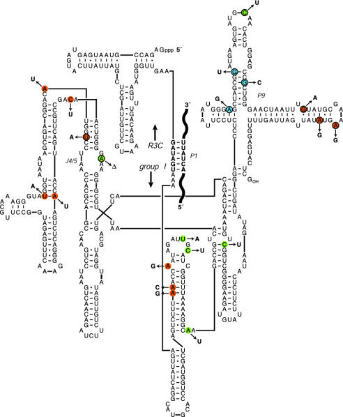 Fig. 2.