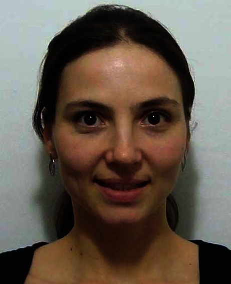 graphic file with name 216_2015_8793_Figb_HTML.jpg