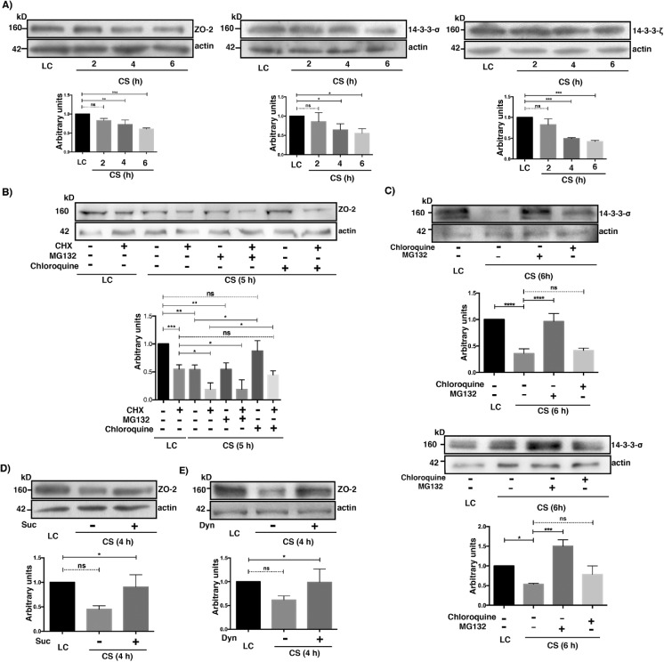 FIGURE 9: