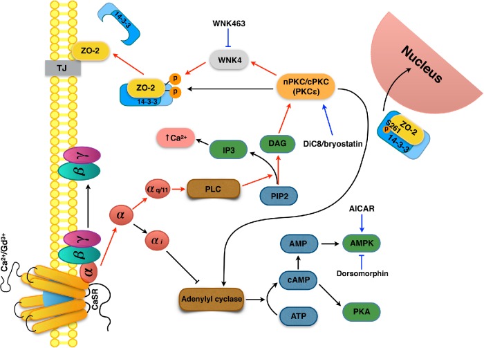 FIGURE 14: