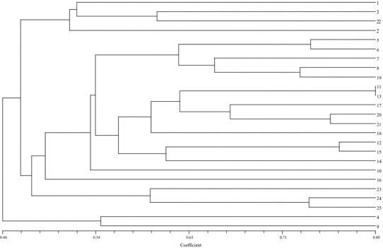 Fig. 6