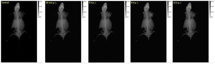 Fig. 14