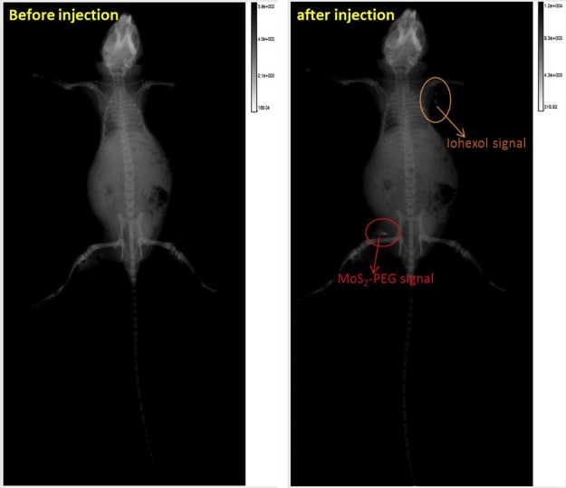 Fig. 15