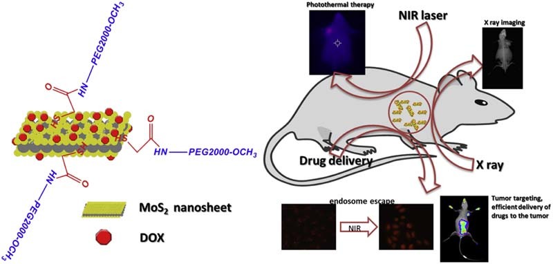 Unlabelled image