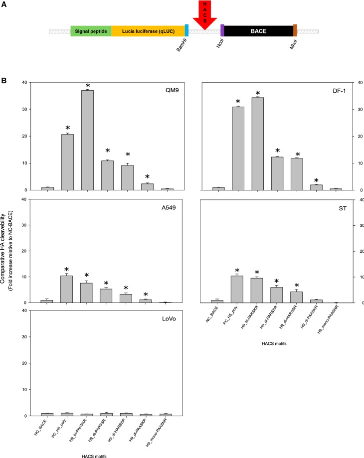 Figure 1