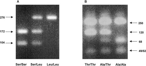 Figure  1