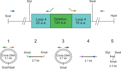 FIG. 2.