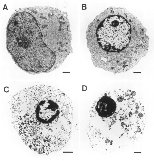 Fig. 11.