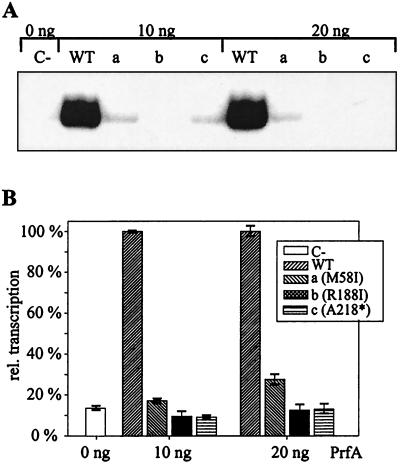 FIG. 6